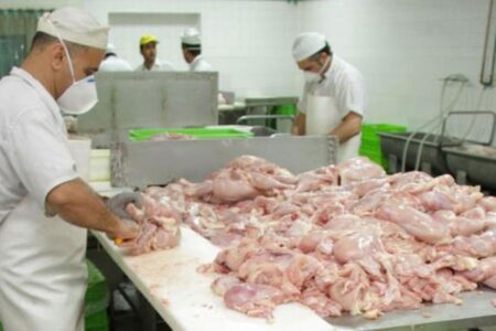 سیاست‌های غلط مسئولان ناکارآمد همراه با آمار اغراق‌آمیز/ وقتی آمار فیک تولید مرغ، باعث گرانی گوشت قرمز می‌شود!