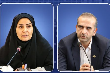 همكاری در زمینه طرح جامع، فرودگاه و مجتمع‌های بندری منطقه آزاد انزلی