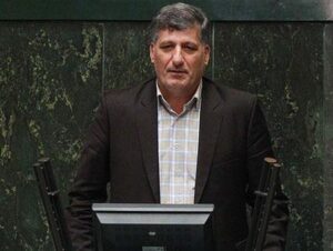 در دولت گذشته ارز ۱۲۰درصد افزایش یافت اما چون دولت با جریان فکری عمده نمایندگان بود آقایان صحبتی نکردند