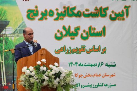 آغاز کشت برنج در 238 هزار هکتار از اراضی گیلان