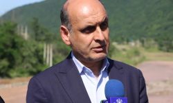 عوامل بروز و ظهور تراستی ها،بابک زنجانی ها، امیر منصور آریا ها ، چای دبشی ها و… اقتصاد ایران