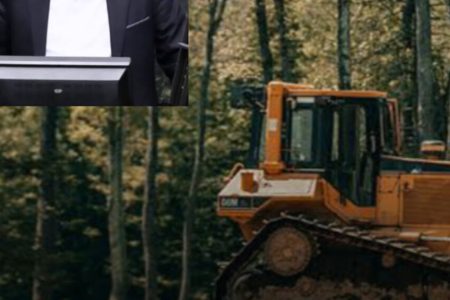 جاده‌ای برای شبکه زمین‌خواران در دل جنگل‌های ثبت جهانی هیرکانی