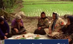 روز جهانی زنان روستایی را تمام سیاسیون فراموش کرده اند